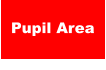 Pupil Area