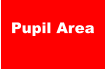 Pupil Area